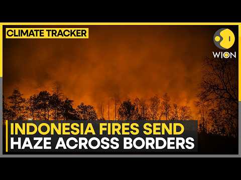 Indonesian Groups Sue Govt Over Wildfires As Haze Crosses Borders, Nearly 900,000 Hectares Burned