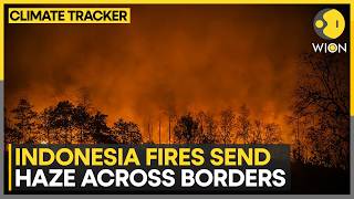 Download lagu Indonesian Groups Sue Govt Over Wildfires As Haze Crosses Borders, Nearly 900,000 Hectares Burned