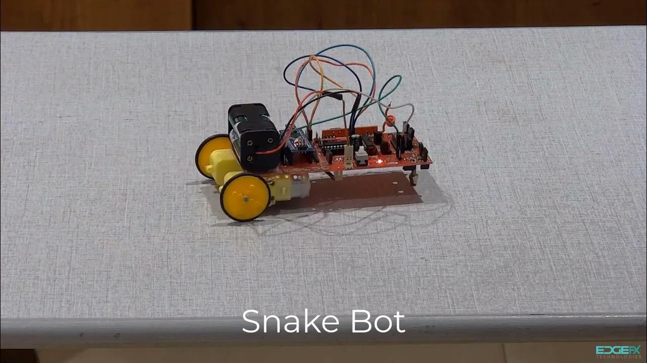 Snake Bot(Programmed Robots-Autonomous) - YouTube