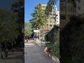 Praça Padre Gregorio de Nadal no Centro de Porto Alegre 🌳