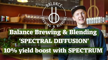 Spectral Diffusion: Traditional Wild Ale Meets Modern Hop Innovation