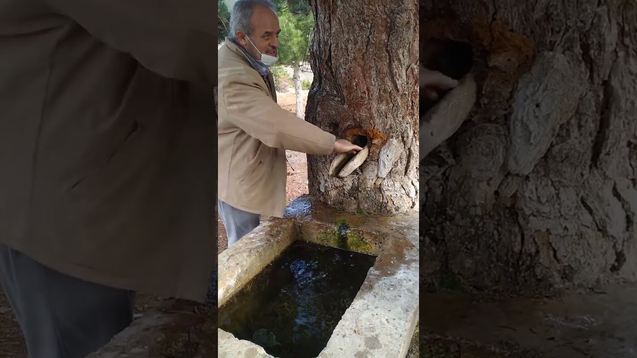 ENTERESAN BİR ÇEŞME