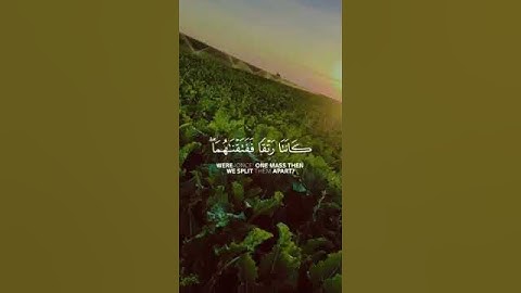 ارح سمعک ❤️ | قناه نور القران| #اكسبلور #راحة_نفسية #لايك #تلاوة_خاشعة #اكسبلورر #قران_كريم #قرآن