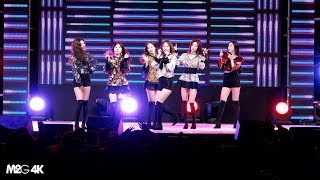 180424 소나무 ( 넘나좋은것 ) 4K