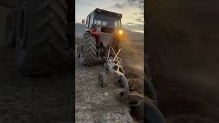 Massey Ferguson 285 4lü 11 numara pulluk performansı 