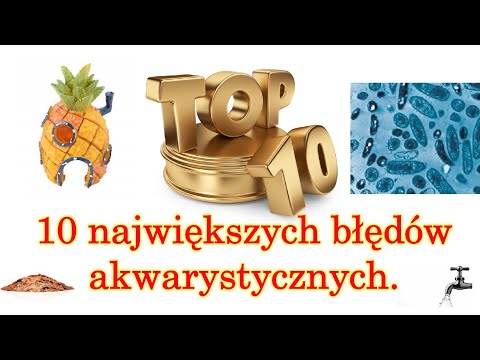 Wideo: 7 typowych glonów znalezionych w akwariach słodkowodnych