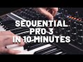 Sequential Pro 3 – 10 Minutes Synth Exploration | Sound Demo (No Talking)