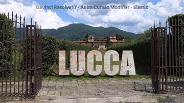 Resolve 17 - Animation Curves Modifier -Elastic (Sample)