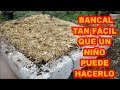 BANCAL FÁCIL, QUE HASTA UN NIÑO PUEDE HACERLO (*._.*) 67 VIDEOLUNES
