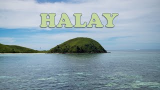 HALAY - Mustafa Lezgiev (AHISKA MÜZIK)(Ахыска)