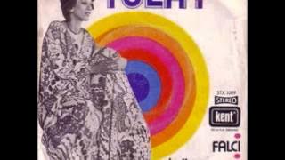 Tülay Özer - KALBİMİ SANA VERMİŞTİM ( plak )