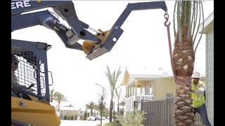 Palm Tree Installation Guide | Desert Empire Palms