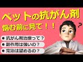 【犬・猫の抗がん剤】必ず悩む、抗がん剤のあの疑問