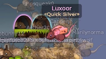 Transformice - Racing Gameplay #2 - Prems