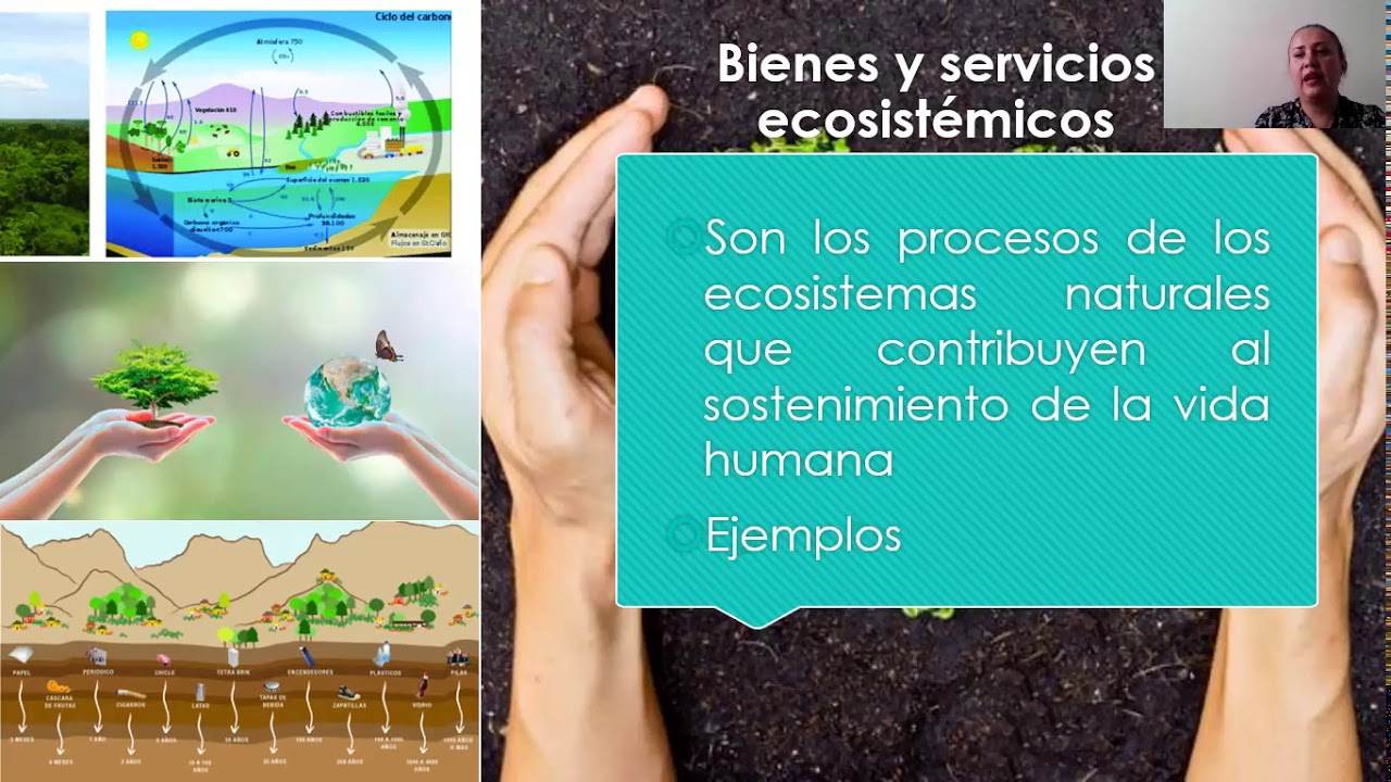 Clase 1. Los bienes y servicios ecosistémicos - YouTube