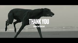 Greyhound Racing: The Last Lap