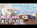 【おしゃべり動画】オリムパスの刺し子展/無印良品のぬかどこ/刺し子しながら/ Sashiko