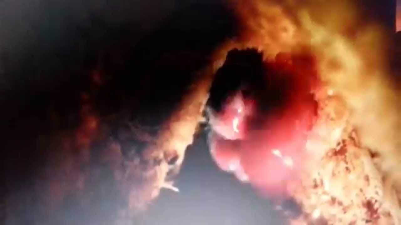 And a Long Sticky Tongue