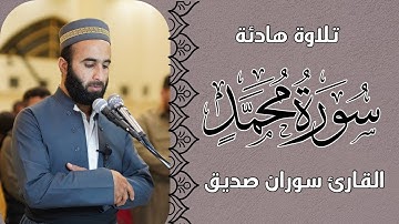 سورة محمد كاملة surah muhammad القارئ سوران صديق