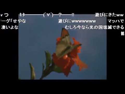 【コメ付き】ゾフィーのことなんかいいよ