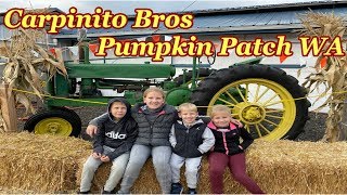 Pumpkin Patch (Carpinito Brothers)