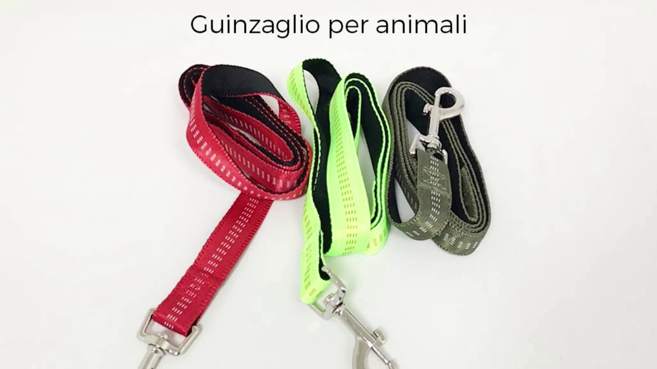 Guinzaglio Da Corsa Per Cani Northern Howl - Per Canicross, Bikejöring, Skijöring - Foto 13