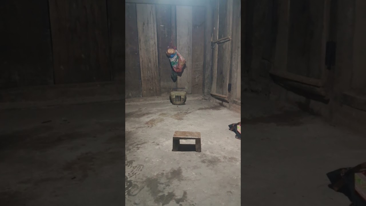 Tiếng chim đa đa gáy chuẩn 2026 np3 ae nào kết thì alo mình nhé 0383628820