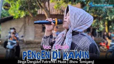 PENGEN DI KAWIN - VOC : ELIZAH | PUTRA PA"I MUDA | SHOW TEMIYANG