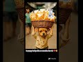Maa ❤️ ya Papa 😎? Puppy ka jawab 🐶😍 #ytshorts #ai