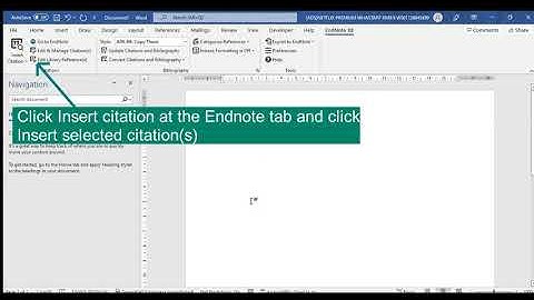 Exporting citation from Endnote to Word document