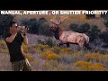 The BEST Shooting MODES For WILDLIFE Photography: Why &amp; When To Use Them