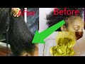 *Awarded Best Hair Growth Remedy To Grow Hair In 4 WEEKS - Fix Hair Fall / Beauty Recipes