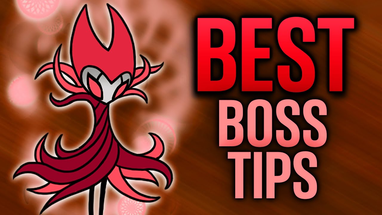Hollow Knight The Hollow Knight Tips Brainsholden