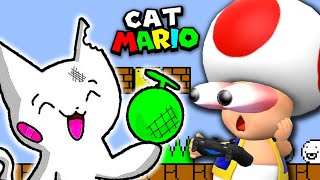 WOW! WE DID IT! | Toad Plays Cat Mario with SKILL Part 2