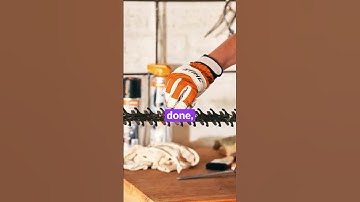 After Hedge Trimming Care