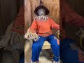 Scarecrows   asmr satisfyingviralasmr asmr trendingshorts viralsatisfyingsounds