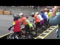 20160403 キックバイクジャパン3rd 5歳後半クラス 予備予選①