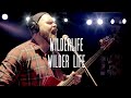 Wilderlife  wilder life  noiseless live session