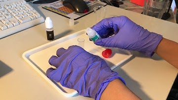 The Crystal Structure of Tin