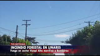INCENDIO EN HUAPI ALTO