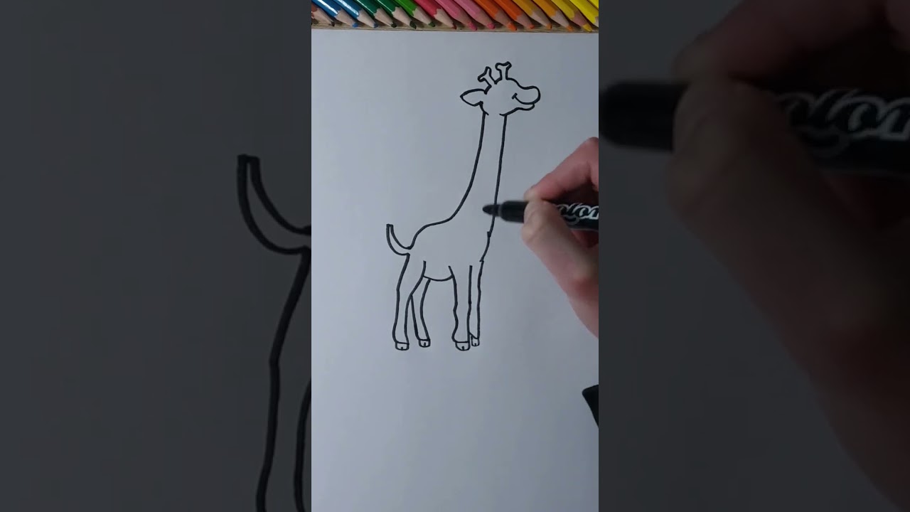 Drawing a Easy Giraffe 