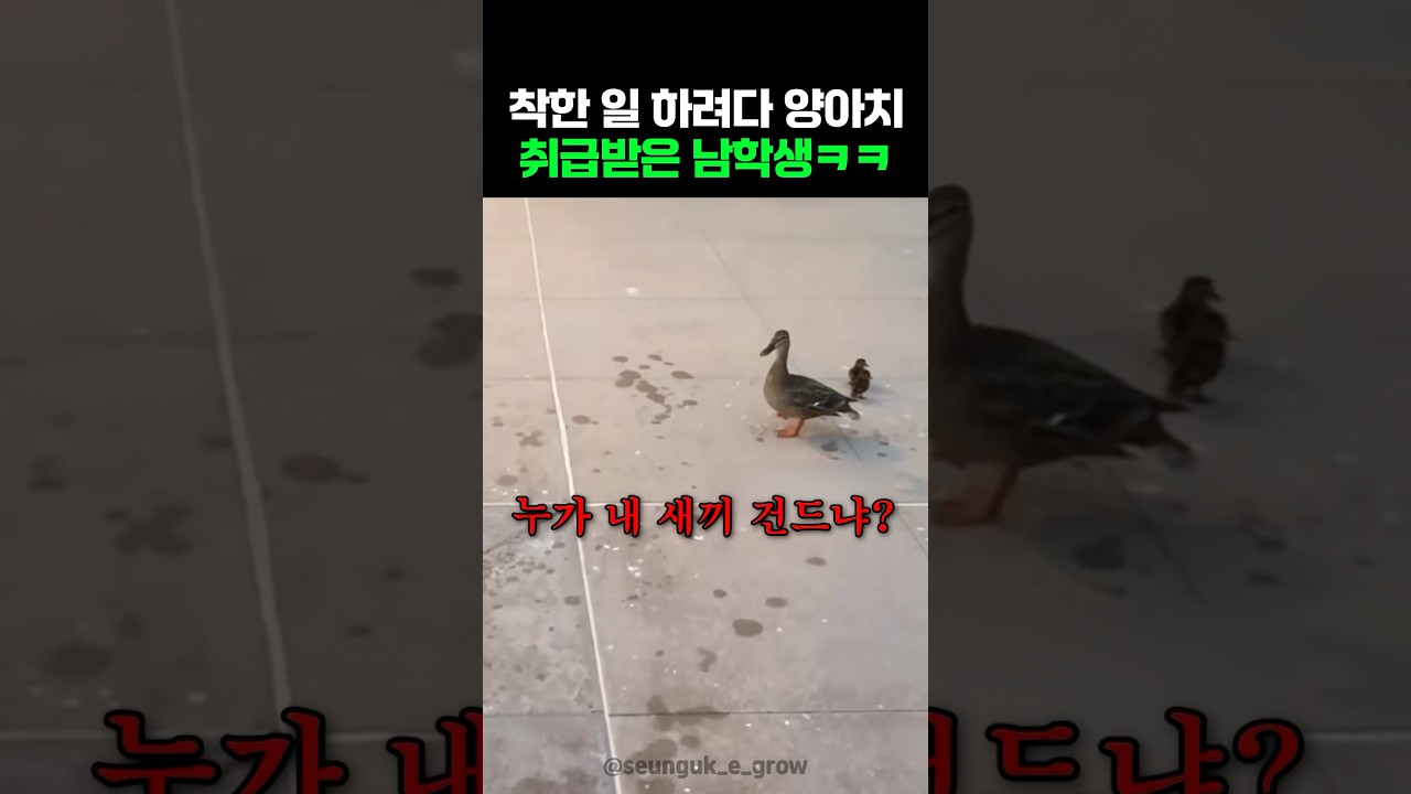 착한 일 하려다 양아치 취급받은 남학생ㅋㅋ