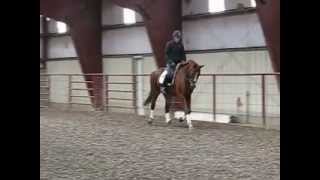 Max (flatwork)- For Sale
