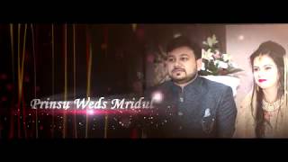 Prinsu & Mridul Jain Wedding Reception Highlights Ad Studio Np