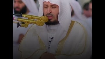 سورة الكافرون بصوت الشيخ سعد الغامدي