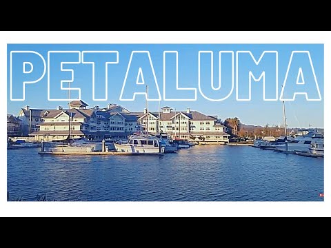 Vídeo: Qual é o tamanho de Petaluma Califórnia?