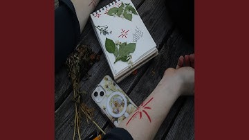 высокие вещи