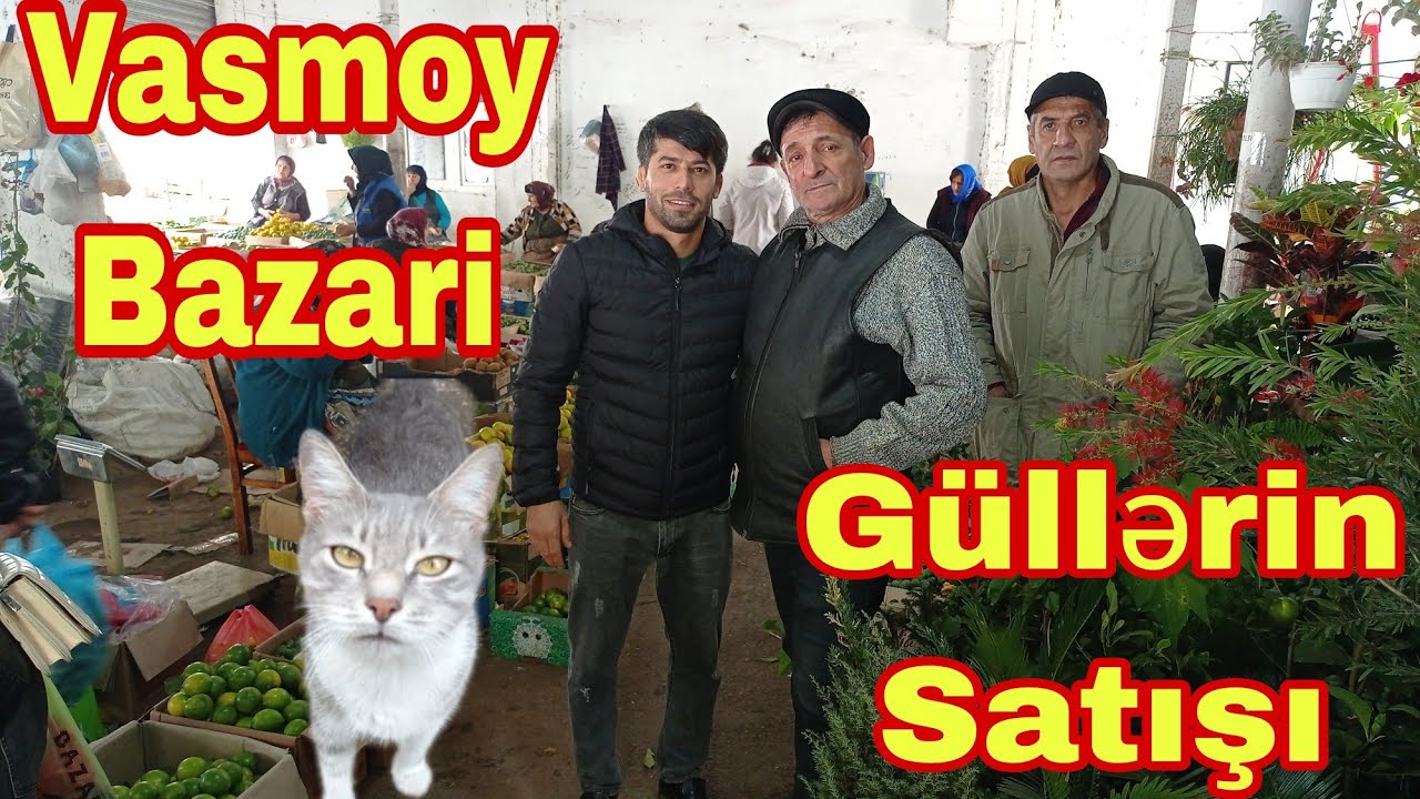 Vasmoy Gül Bazari 28 10 2022
