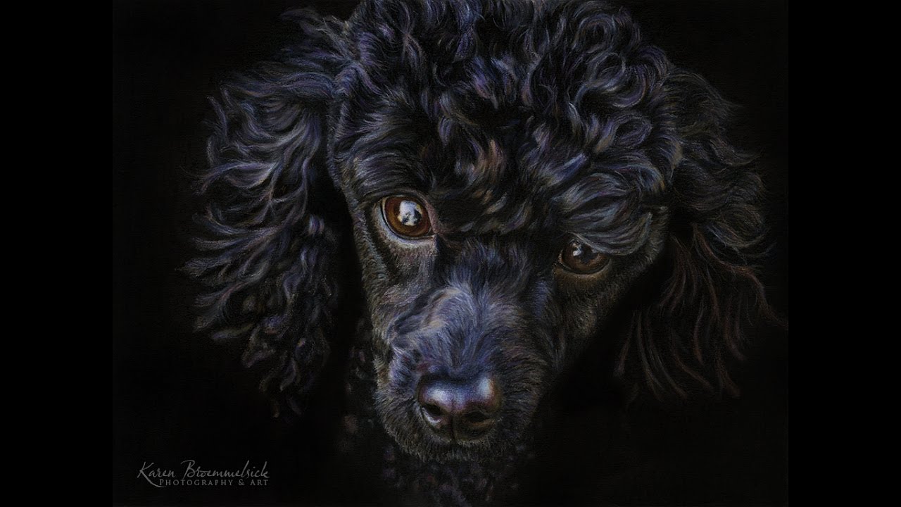 black poodle painting