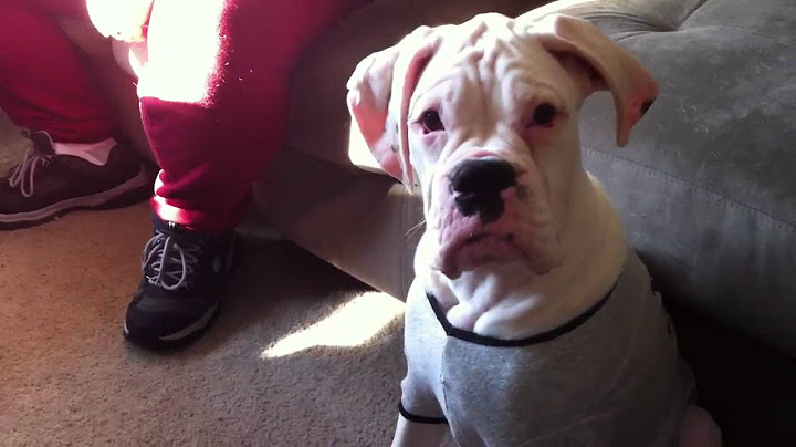 Welcome to the Family Moe